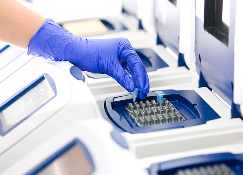 starseq_genotyping-services_pcr-amplification
