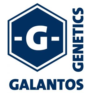 Galantos Logo Druckversion